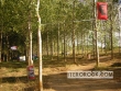 Festival Tachurock 2006