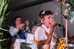 Tachurock 2026