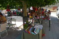 Festival Tachurock 2009