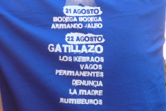 Festival Tachurock 2009