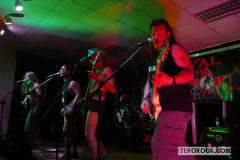 Festival Tachurock 2012